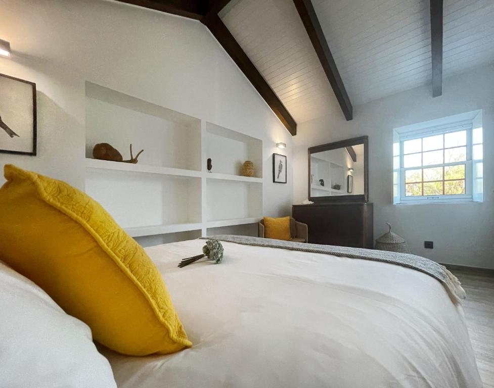 Kuanza Nature Experience, Fajã do Belo - 2