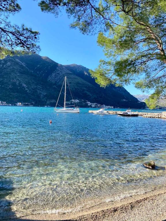 Apartments Ivanišević - 10