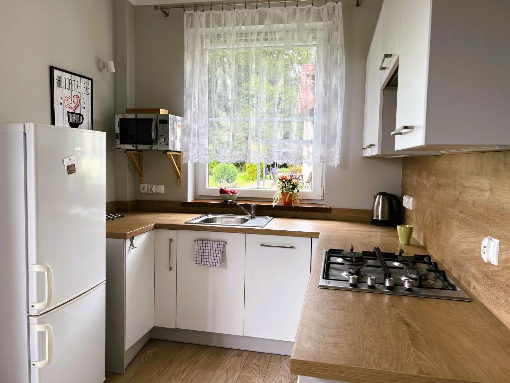 Kuchyňa alebo kuchynka v ubytovaní ApartamentyKudowa - Willa Pod Dębami z ogrodem i parkingiem,