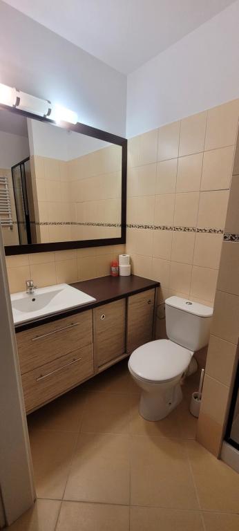 Kúpeľňa v ubytovaní Apartament Karolina - Zielone Tarasy
