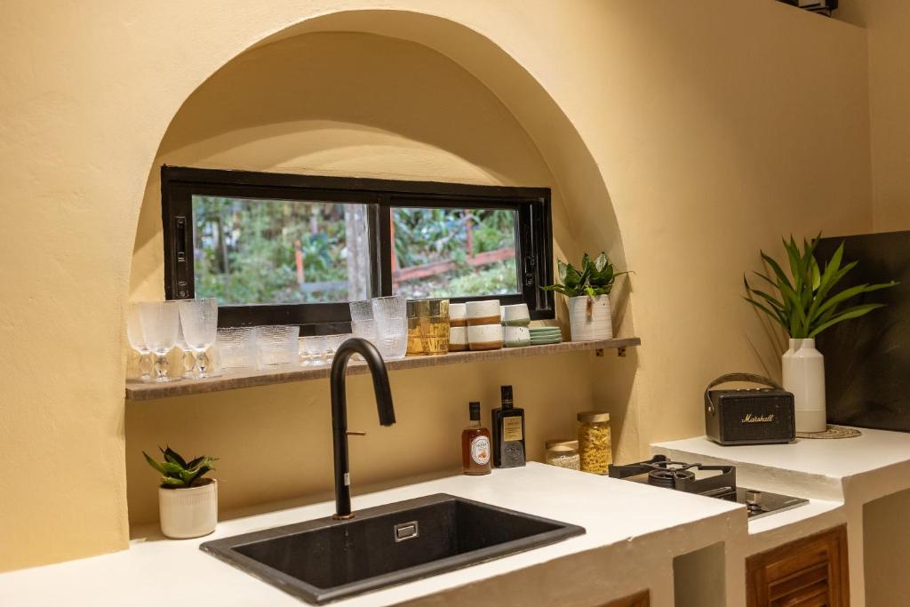 Kuchyň nebo kuchyňský kout v ubytování Botanica Villas