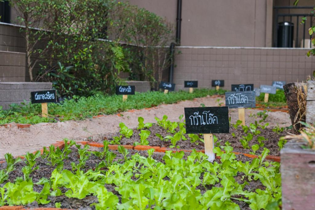 Brown House Hotel - Resim 40