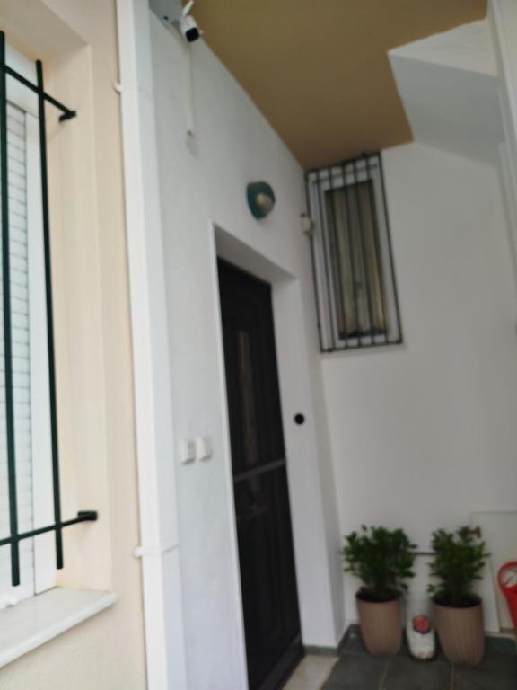 a hallway with a black door and potted plants at Comfy Alykes Apartment, Volos in Volos