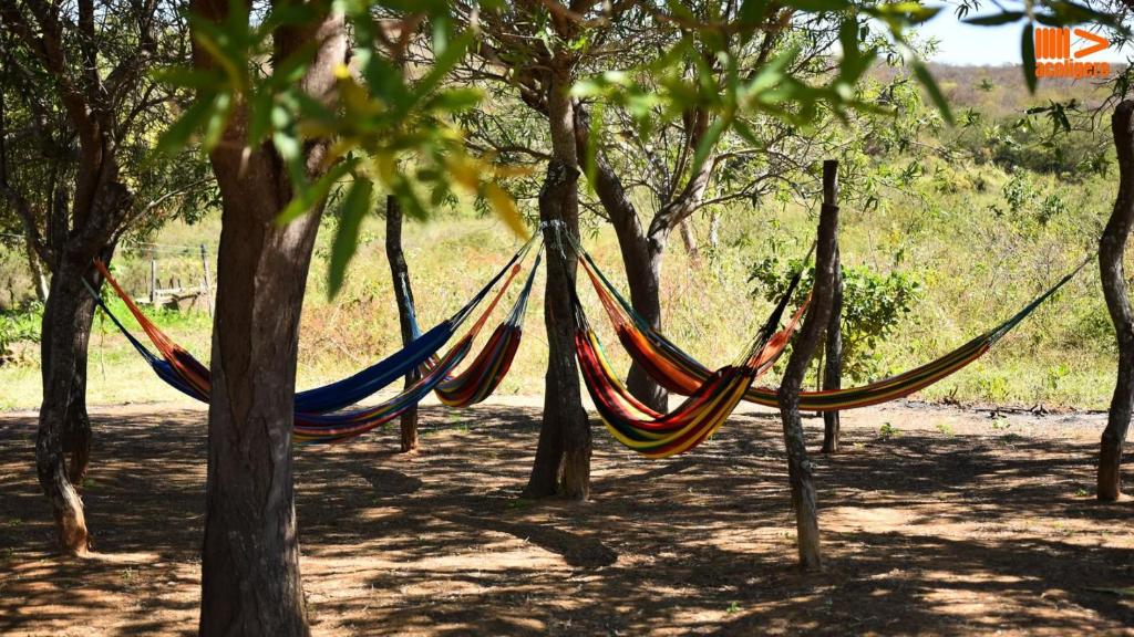 Zahrada ubytování Pousada Casarão do Jabre: História e Natureza JABRE1