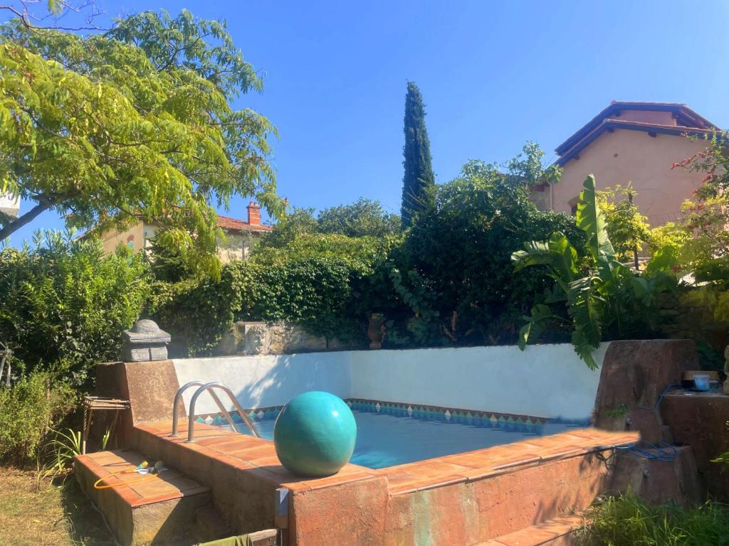 ein Pool mit blauem Ball im Hof in der Unterkunft Jardin d'Eden in La Ciotat