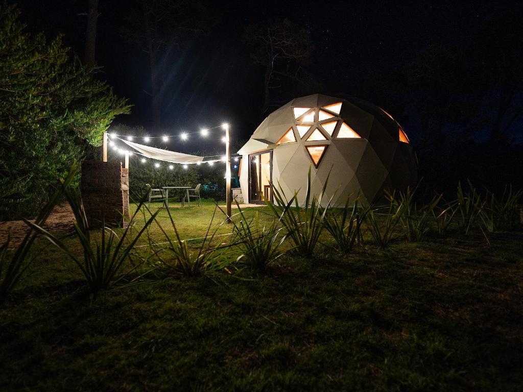 Zahrada ubytování Ocean Domes