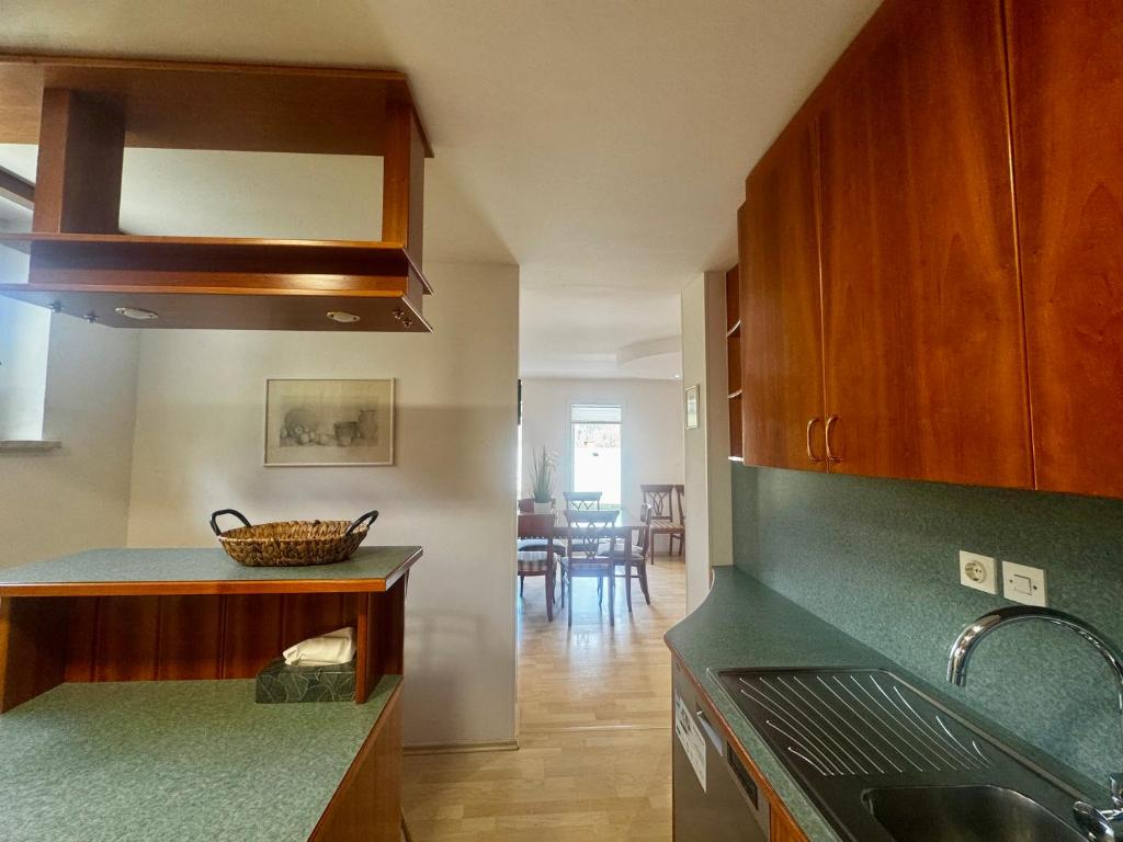 Kuchyň nebo kuchyňský kout v ubytování Villa Bohinj