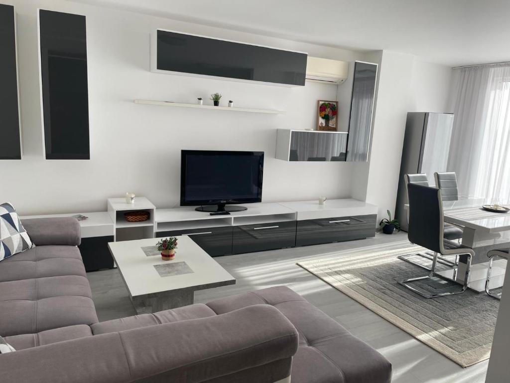 a living room with a couch and a flat screen tv at Vera's Apartment in Timişoara