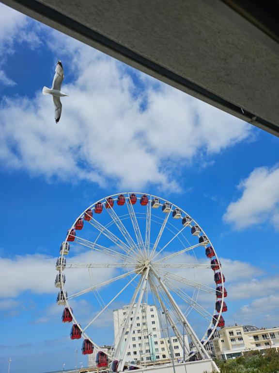 une mouette volant à côté d’une roue ferris dans l'établissement Appartement vue mer, à Berck-sur-Mer