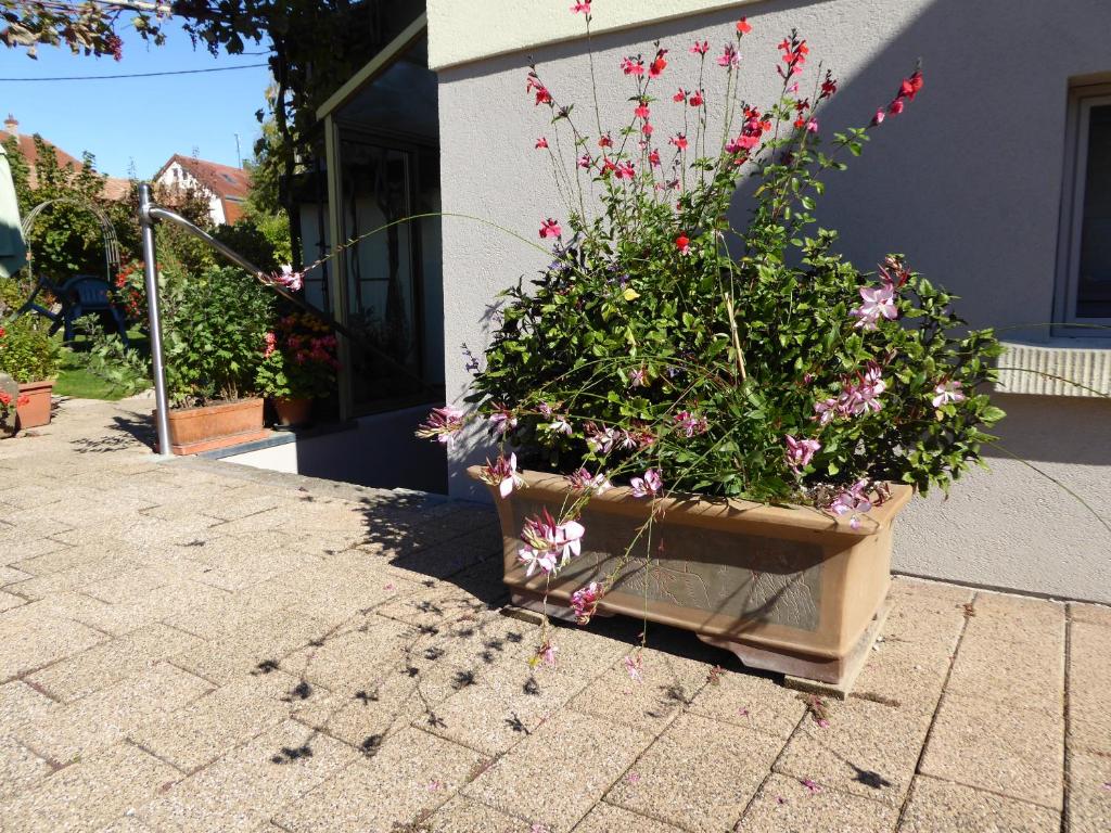 Studio Rouffach – photo 22