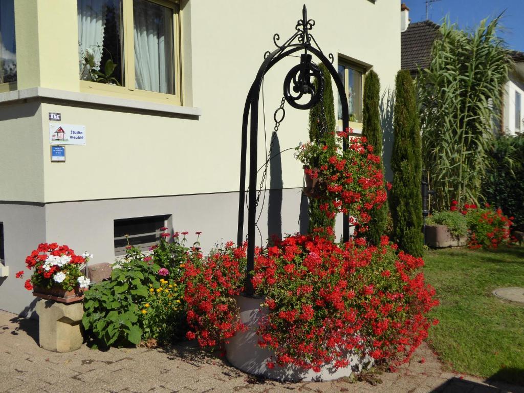 Studio Rouffach – photo 20