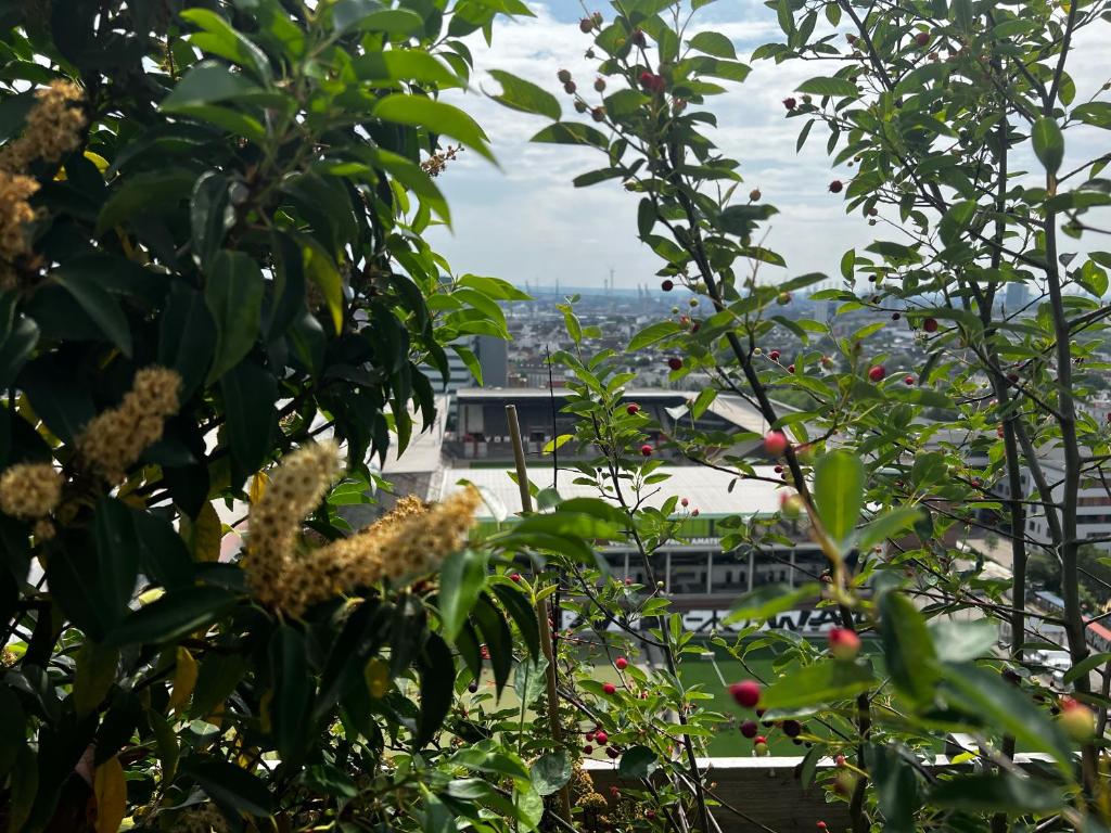 REVERB by Hard Rock Hamburg - Resim 24