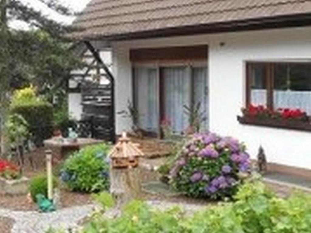 Zahrada ubytování Pension Haus Monika