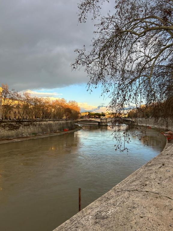 a view of a river with a bridge in the background at La Riva Sinistra in Rome