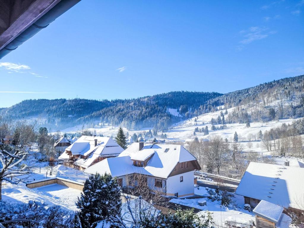 a village covered in snow on a mountain at Apartment Kleine Auszeit by Interhome in Menzenschwand