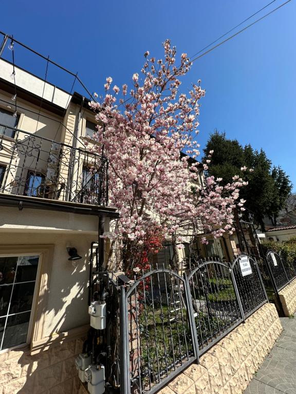 Hotel Boutique Cathedral Plaza Residences room for rent downtown - Resim 4