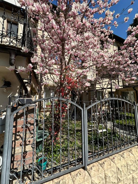 Hotel Boutique Cathedral Plaza Residences room for rent downtown - Resim 2