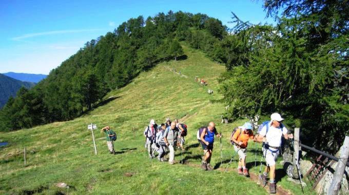 un grupo de personas caminando por una colina en Casa Vacanze Primula palinuri, en Futani