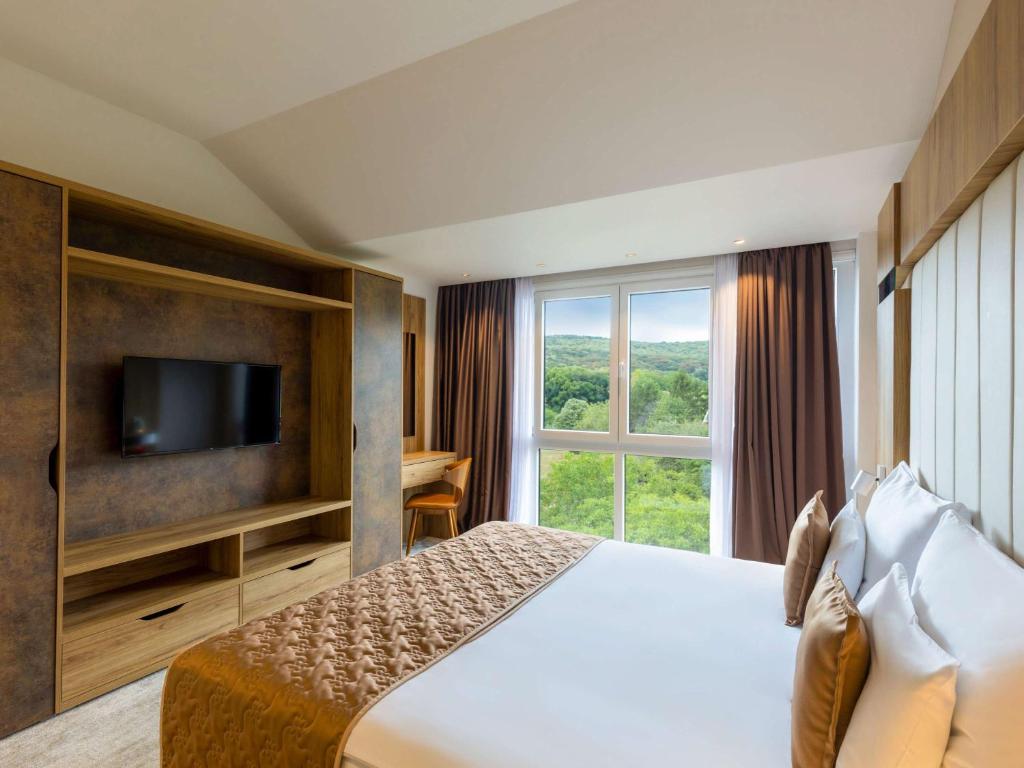Televiisor ja/või meelelahutuskeskus majutusasutuses Movenpick Resort and Spa Fruske Terme