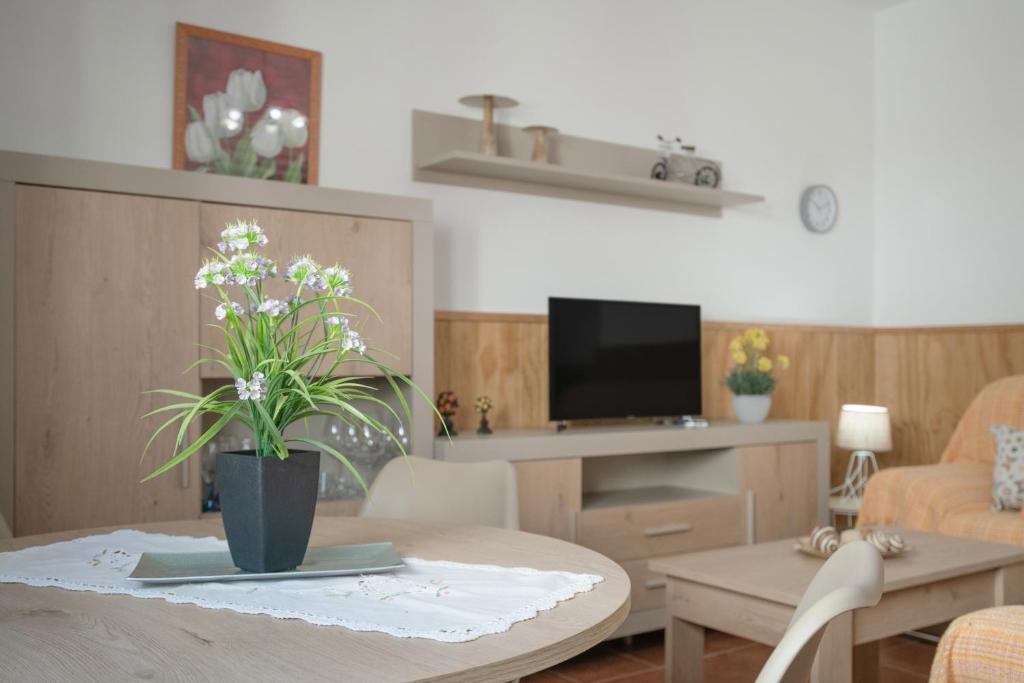 TV a/nebo společenská místnost v ubytování Apartamento Rocio - solo familias