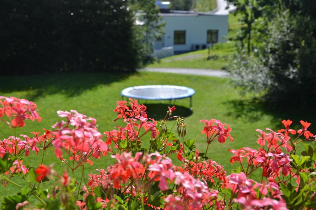 Holiday-Appartements - 17