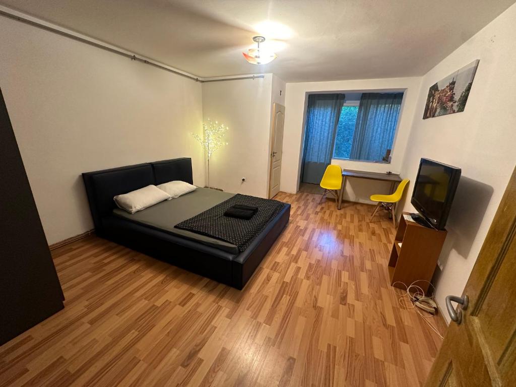 a bedroom with a bed and a television in it at Take Ionescu Center Apartment in Timişoara