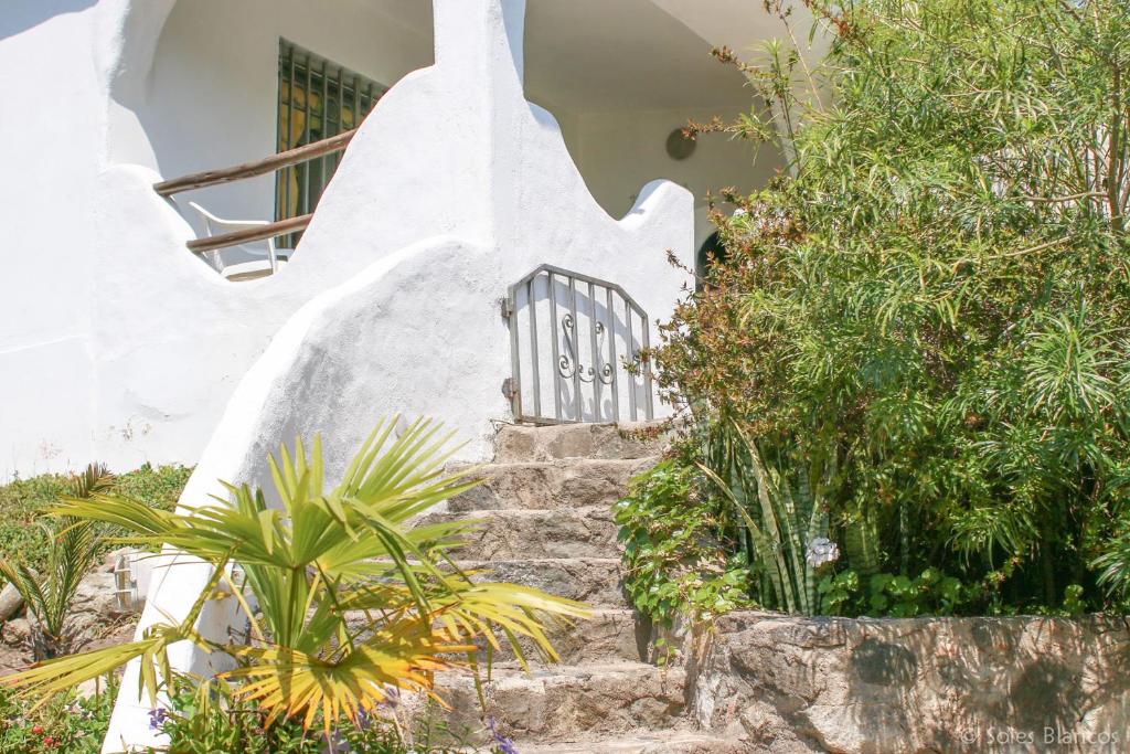 Un jardín fuera de Soles Blancos Serranita