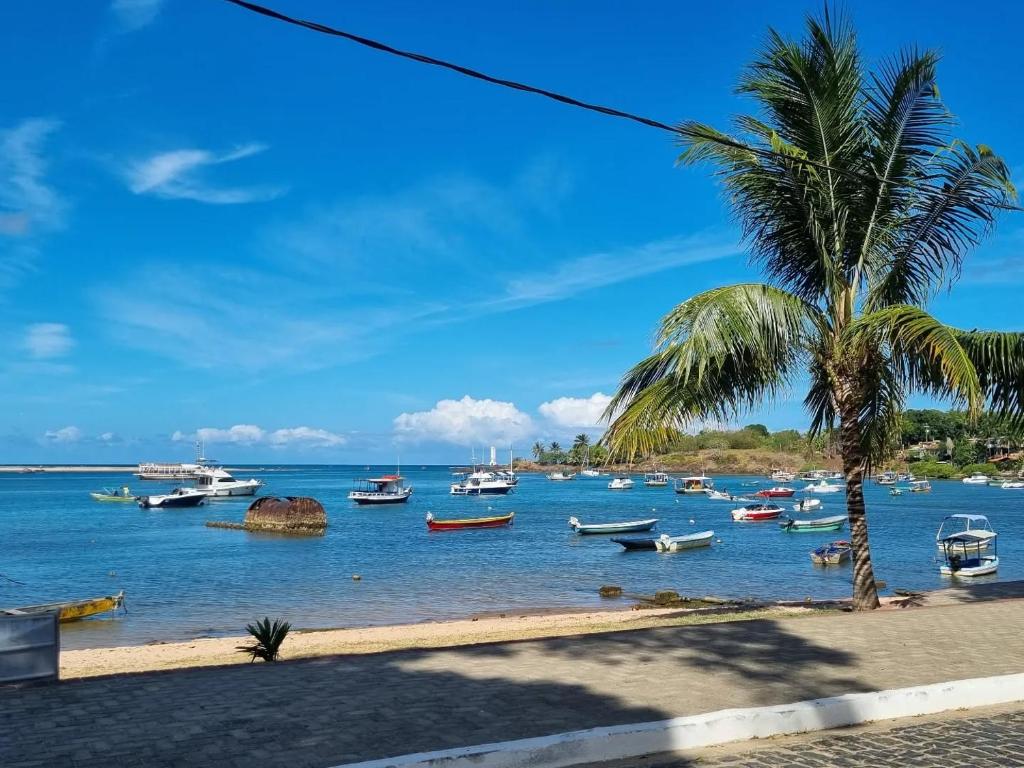 a beach with boats in the water with a palm tree at Hostel Itacaré in Itacaré