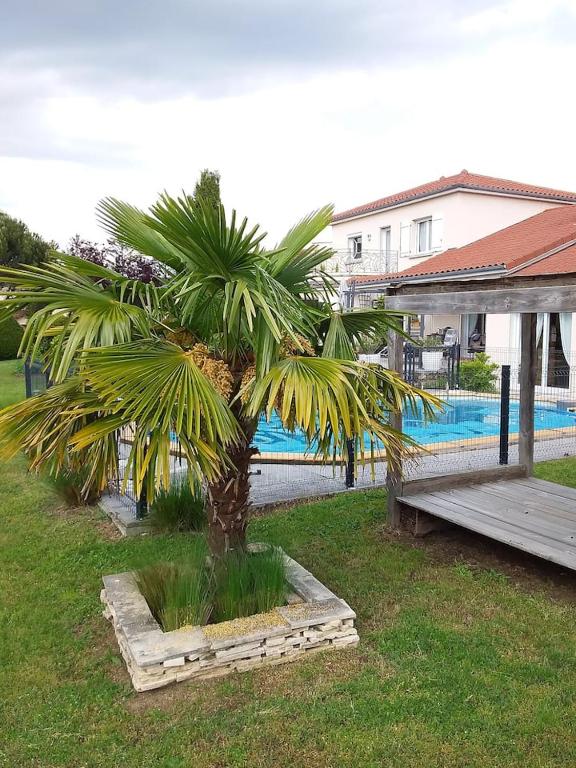 un palmier installé à côté d'une piscine dans l'établissement Les Etoiles du mont d'Uzore, à Chalain-dʼUzore