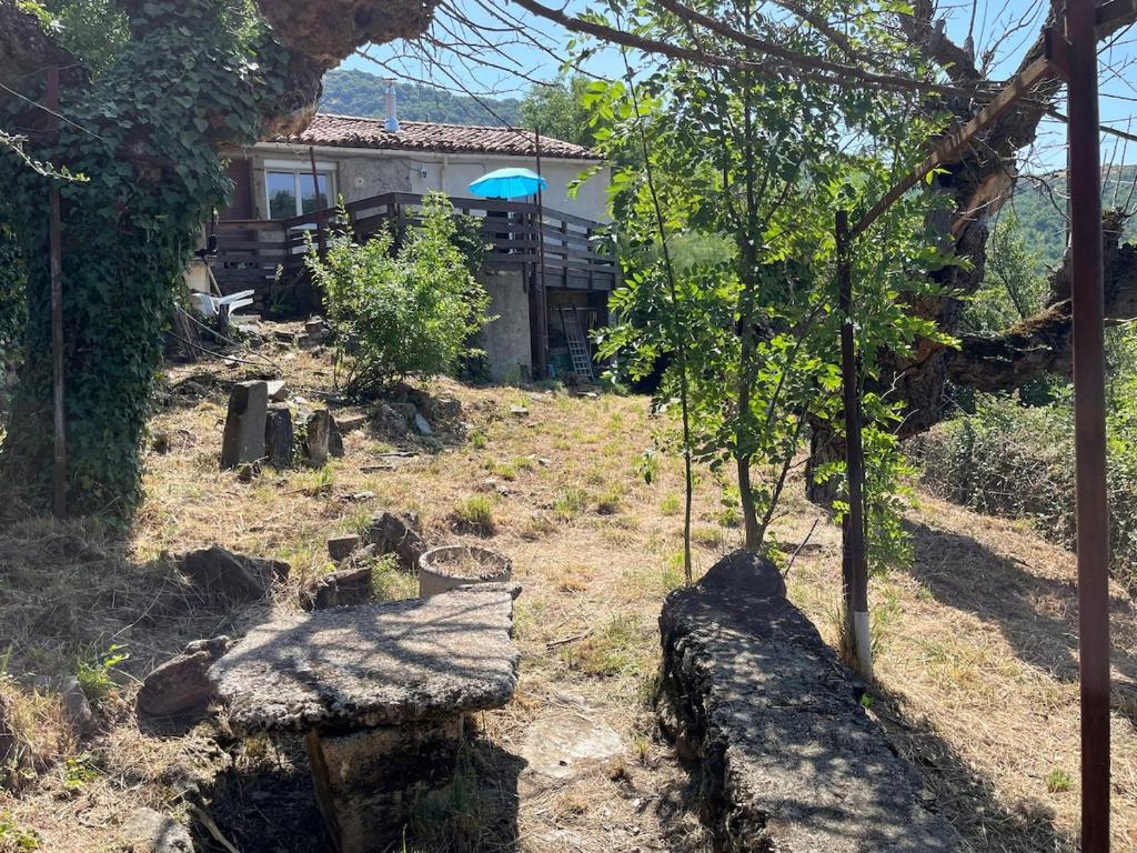 un jardin avec un petit arbre et une maison dans l'établissement Jolie maison des Cévennes, à Aumessas