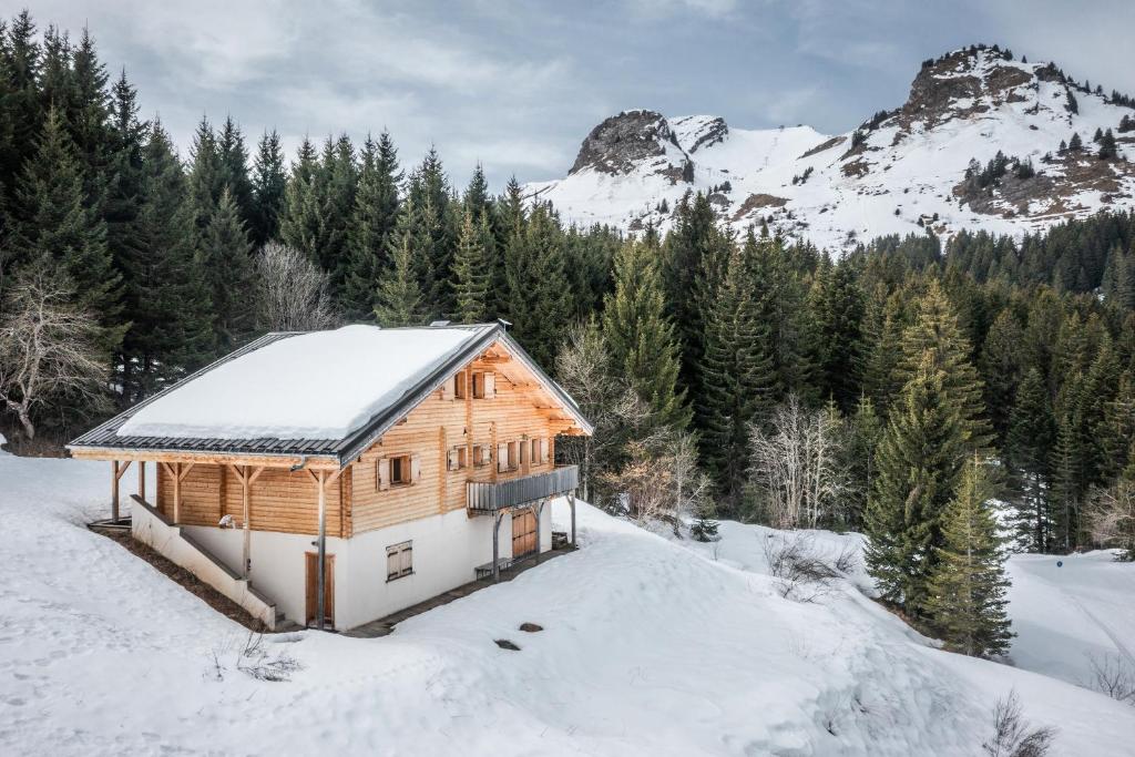 a wooden cabin in the snow with a mountain at Chalet Les Amborzales in Taninges