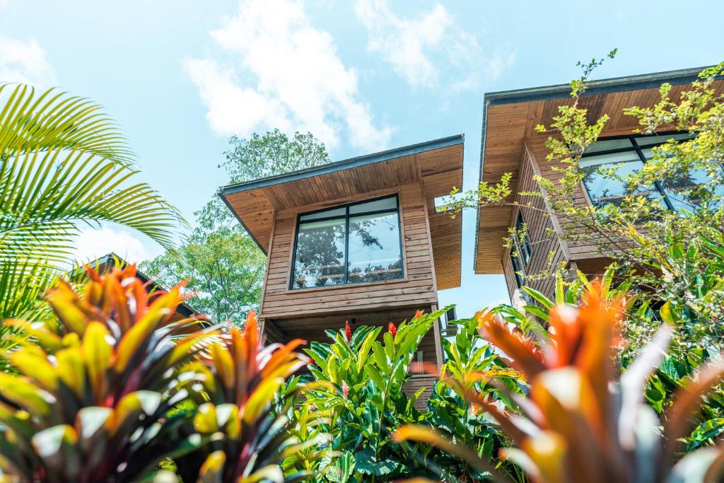Zahrada ubytování MALU Cabins