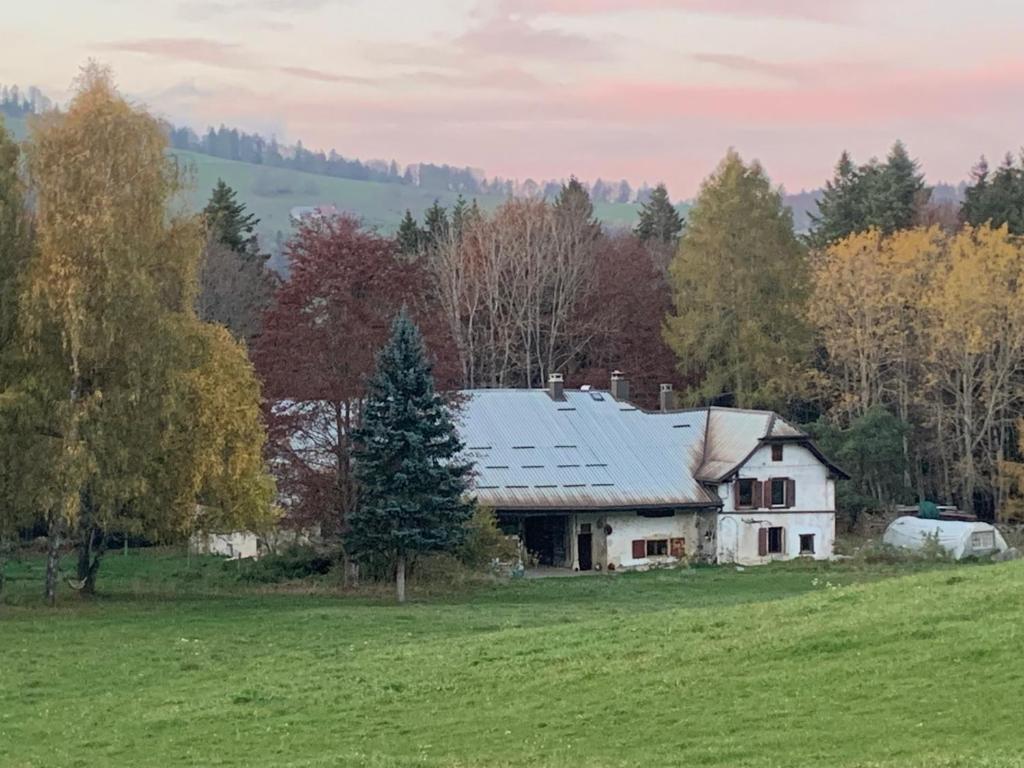 Příroda nedaleko luxury tent