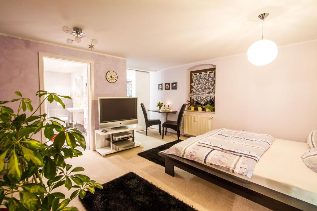 Una sala de estar con una cama y un televisor. en Idyllische Ferienwohnung am Pillnitzer Schlosspark, en Dresden
