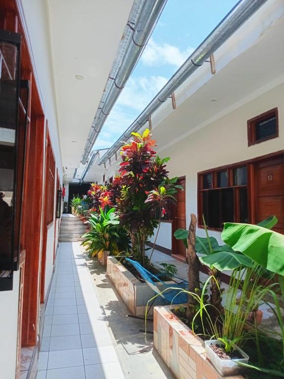 Tengana Hospedaje y Tours