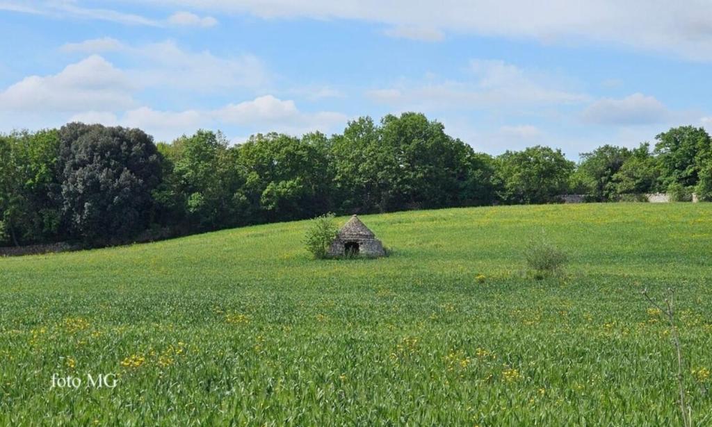 Příroda nedaleko bed and breakfast