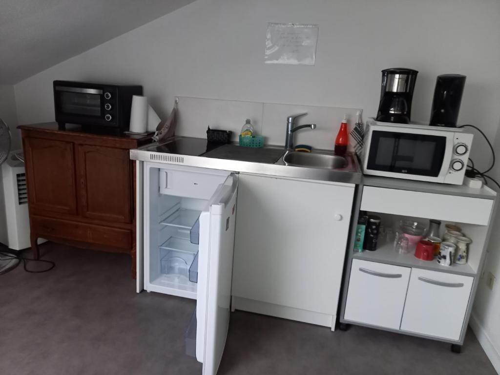 une cuisine avec un évier et un micro-ondes dans l'établissement Studio, à Oyonnax