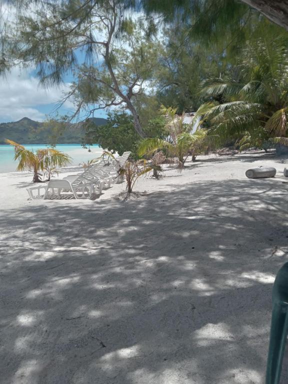 Pension Ataha RAIVAVAE, Rairua - photo 6 - Raivavae, Polynésie