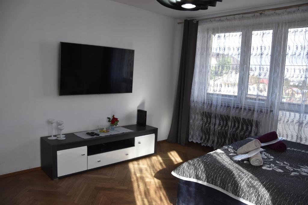 TV a/nebo společenská místnost v ubytování Apartament Night Premium Krakow