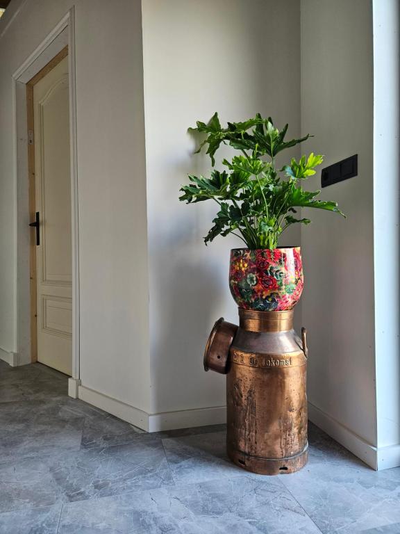 Fotografie z fotogalerie ubytování B&B it Arbeidershûske v destinaci Ferwoude