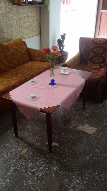 Posezení v ubytování Hotel Eniseli