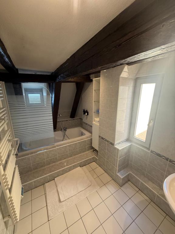 a large bathroom with a tub and a sink at Duplex Le Léonor in Strasbourg