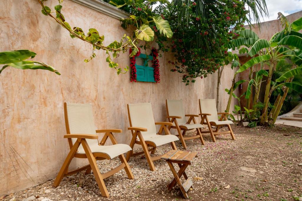 Zahrada ubytování Hotel Boutique Kiin Wayeb