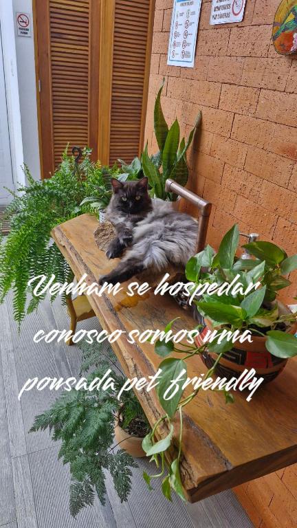 Fotografie z fotogalerie ubytování pousada essência v destinaci Paraty