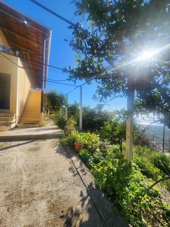 Guest House Borshi