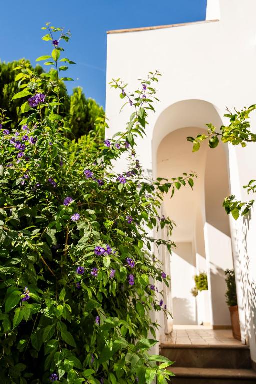 Zahrada ubytování Hotel Senaria