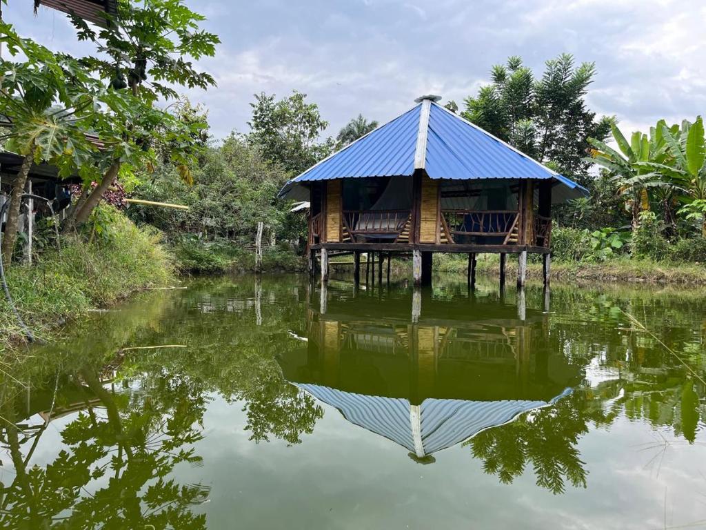 a house in the middle of a body of water at Hostal Ariantiy in Pepino