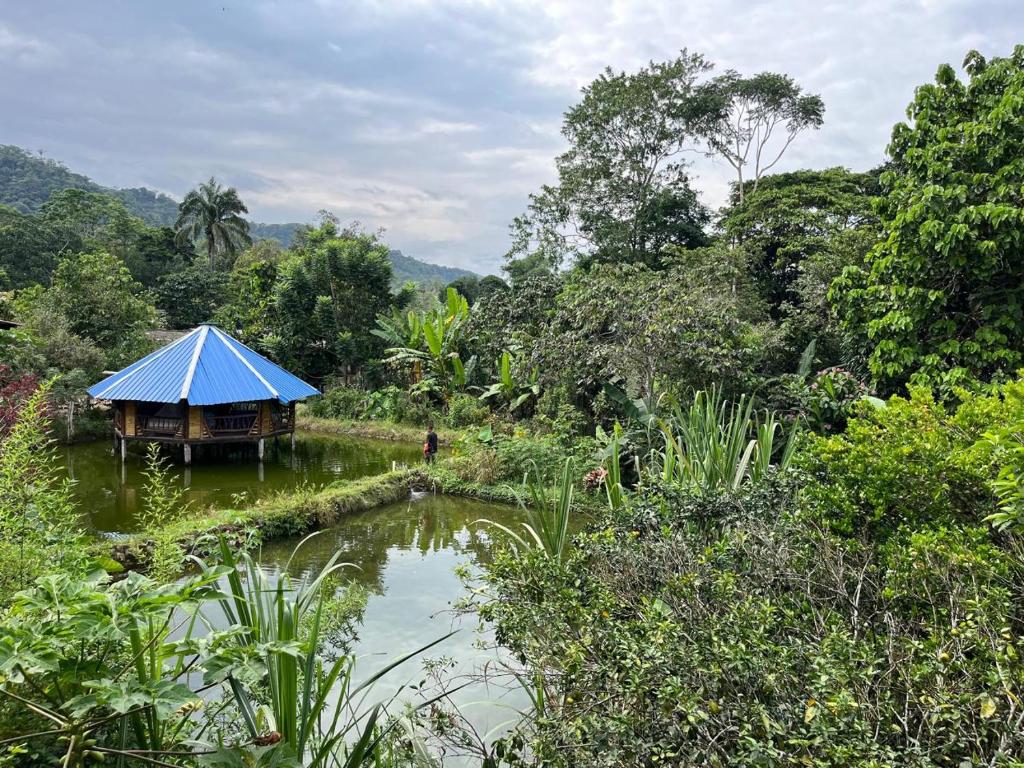 a small house with a blue roof next to a river at Hostal Ariantiy in Pepino