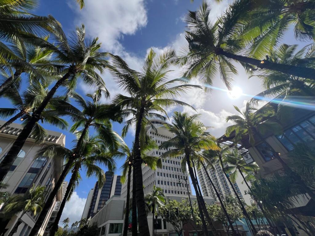 First Cabin International Hawaii photo