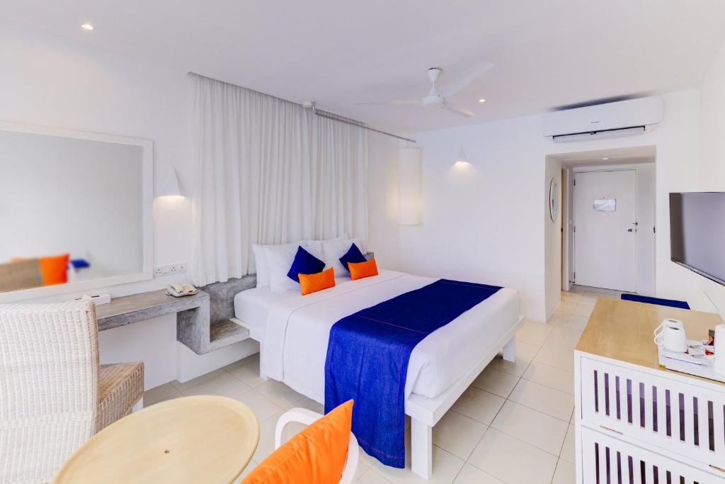 Trinco Blu by Cinnamon - 5